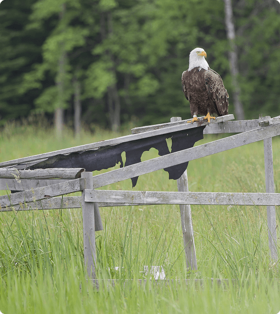 Northwest Wisconsin Section Image